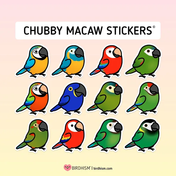 Chubby Macaw  Sticker