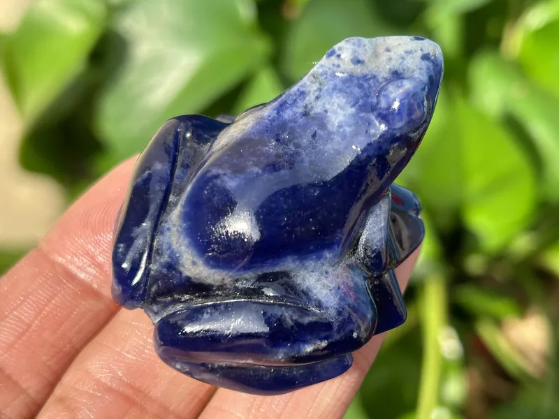 Natural Hand Carved Sodalite Frog