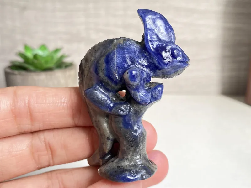 Natural Sodalite Chameleon