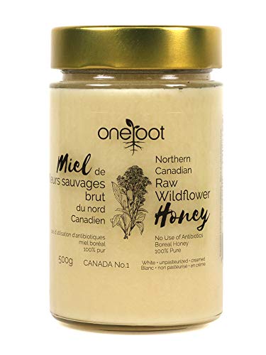 OneRoot 100% Canadian Raw Honey (1kg/2.2lbs ) – Honey Unfiltered, Unheated & Creamed Honey – Natural Sweetener White Thick Wildflower Honey Rich in Nutrients with Enzymes - 6.61 Pound (Pack of 1)