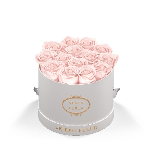 Small Round | White Classic / Blush