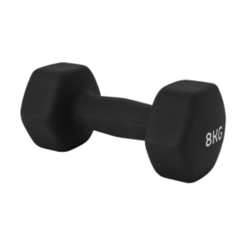 8kg Dumbbell