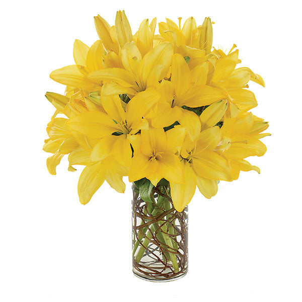 Simply Lily - Yellow - Simply Lily - Yellow / BF180-11KM