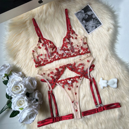 Lingerie Lace Embroidery Suspenders See Through Outfit - Red / M