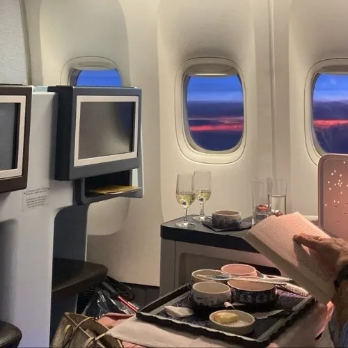 Business Class Domestic ✈️