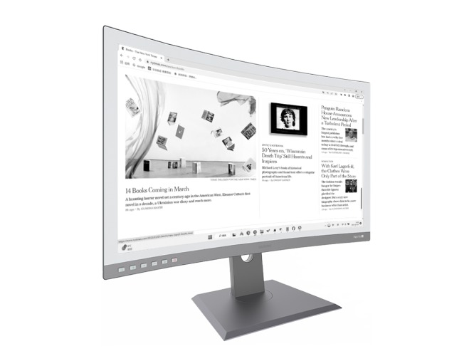 DASUNG 25.3" Curved E-ink Monitor: Paperlike 253 U | Wired Version
