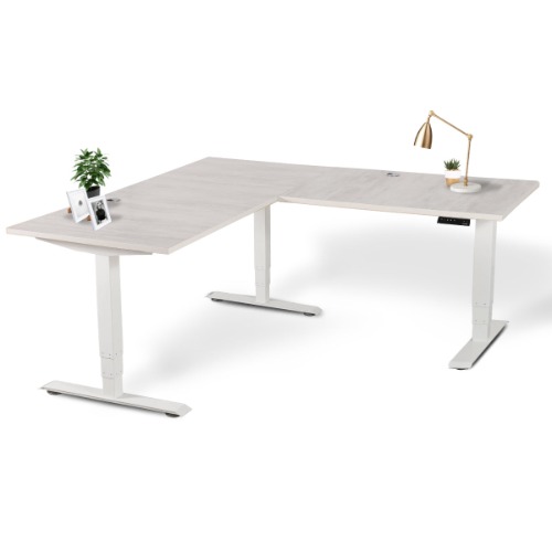 Executive Standing Corner Desk - L Shaped - Large 71" × 71" / White / Oak White
