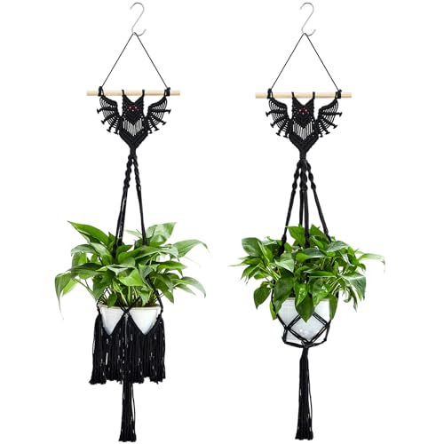 Bat plant hangers
