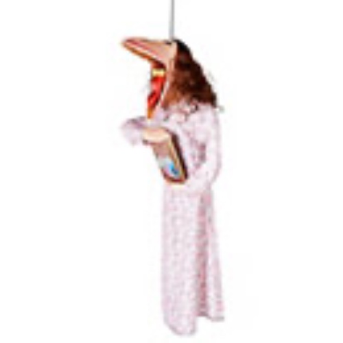 Hanging Barb Decoration