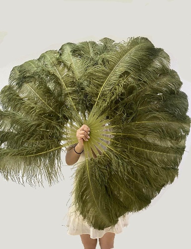 A pair Olive green Single layer Feather fan 24"x 41" | Default Title