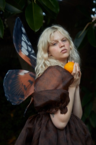 Painted Lady Floating Butterfly Wings | Default Title