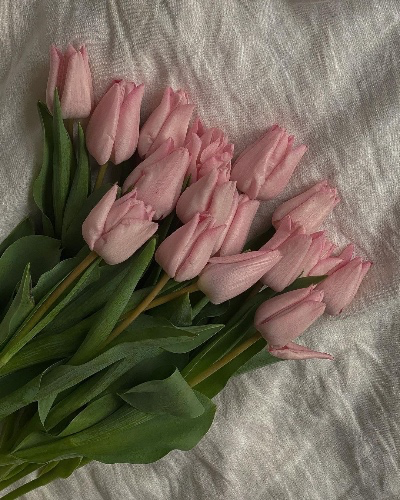 Buy me some birthday flowers 