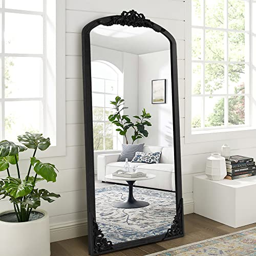NeuType Arched Full Length Carved Dressing Mirror Solid Wood Frame Vintage Wall Mirror for Home Decor Bathroom Entryways Living Rooms, Black, 65"x 22" - 65"x 22" - Black-solid