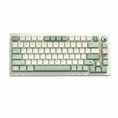 dagaladoo PBT keycaps Matcha Green, Cherry Profile Keycaps 75 Percent,Double Shot Key Cap,dye-sub Keyboard keycaps, 134keys Custom Keycaps for Mechanical Keyboard (Spring Tea,only keycaps) - Spring Tea