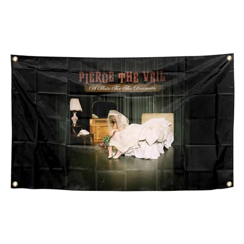 Pierce Singer 3x5 FT Banner Wall Decor Tapestry Veilr For College Dorm Room Decor, Man Cave, Parties, Gift (hk8) - hk8