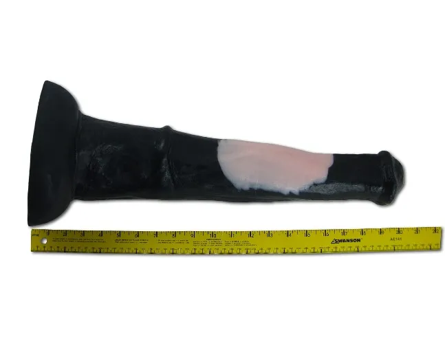 THE BIGGEST HORSE COCK! 😱 - HENRY