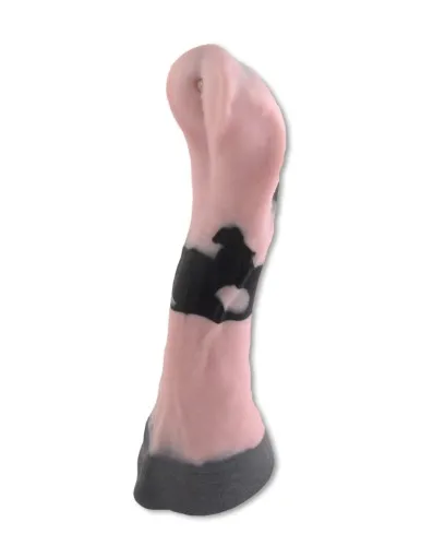 Elephant XL : Exotic Erotics