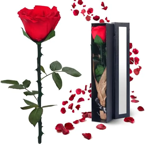 YAMPP Preserved Rose Gifts for Women: Valentines Day Birthday Christmas Anniversary Mother's Day Wedding Gift for Mom Girlfriend Wife Grandma - Forever Flower for Her