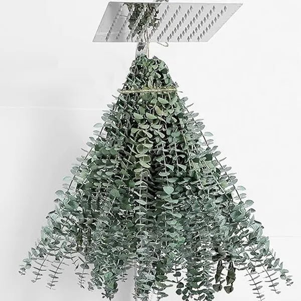 30 Pcs Eucalyptus for Shower Hanging Dried Eucalyptus Stems 17" Real Eucalyptus 100% Made from Fresh Eucalyptus Leaves Wedding Decor Home Decor Farmhouse Decor DIY Spring Decor,Green. Dried Flowers - 30 Pcs