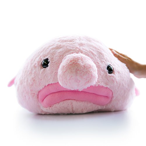 Hashtag Collectibles Stuffed Blobfish Plush