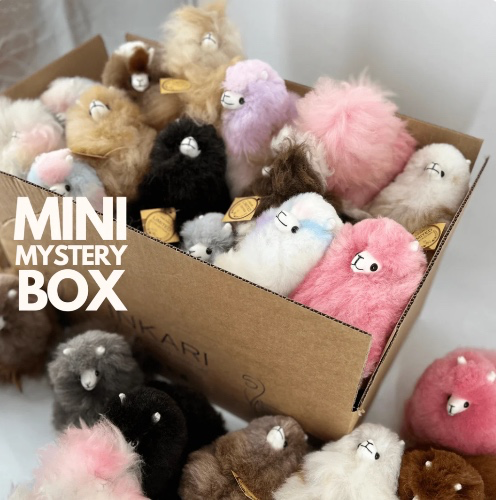 Mini Mystery Box | Default Title