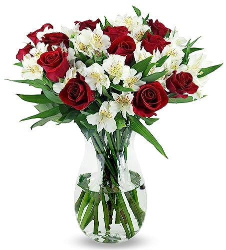 Benchmark Bouquets Signature Roses & Alstroemeria, Prime Delivery, Farm Direct Fresh Cut Flowers, Gift for Anniversary, Birthday, Congratulations, Get Well, Home Décor, Sympathy, Valentine’s Day - Red/Pink