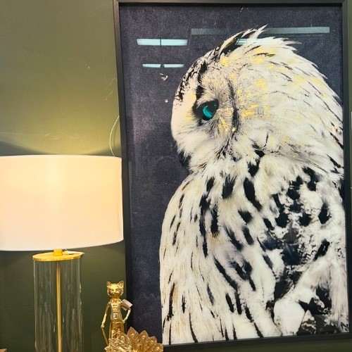 Snow Owl Framed Print 120x80cm | M