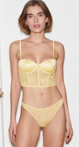 Bouquet Lace Bustier Set