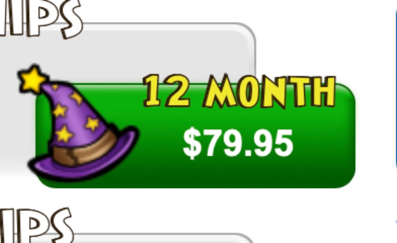 Wizard101 1-Year Subscription
