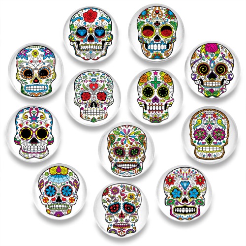 Pack-12 Skull Refrigerator Magnets