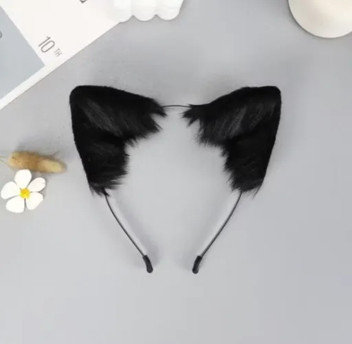 Cat ears 