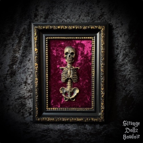 PRE-ORDER - Skeleton frame, Purple velvet, gothic home decor, Strange Dollz Boudoir