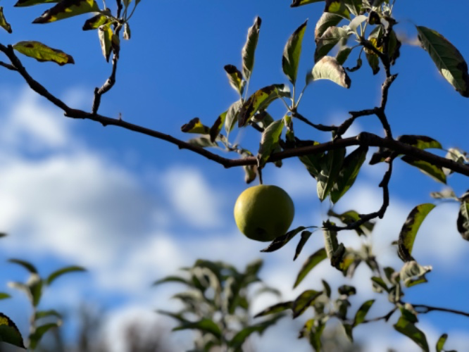 Your Obsession 🔥✨