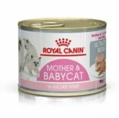 ROYAL CANIN First Age Mother & Babycat Mousse 12 x 195g