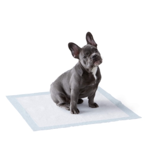 Amazon Basics Dog and Puppy Training Pads, Leakproof, 5-Layer Design with Quick-Dry Surface, Regular, Pack of 50