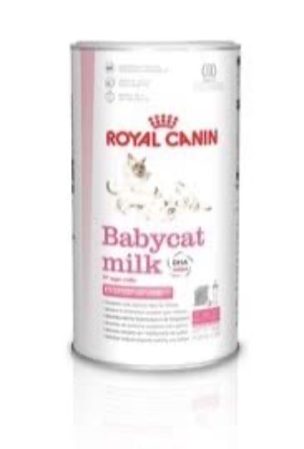 ROYAL CANIN BabyCat Milk 300g
