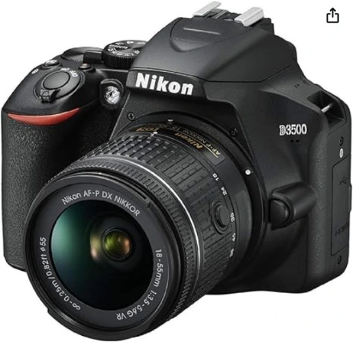 Nikon camera