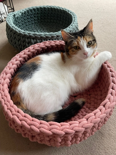 Chunky crochet cat bed | crocheted bed | handmade basket | small dog bed | toy storage | nursery decor | pet basket | pet bed