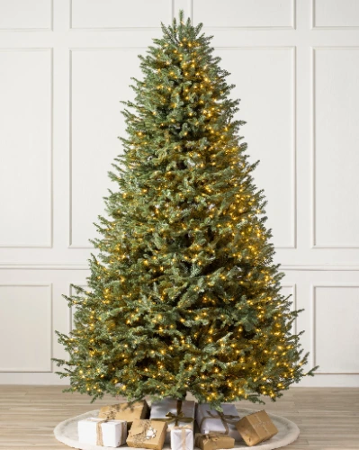 BH Balsam Fir