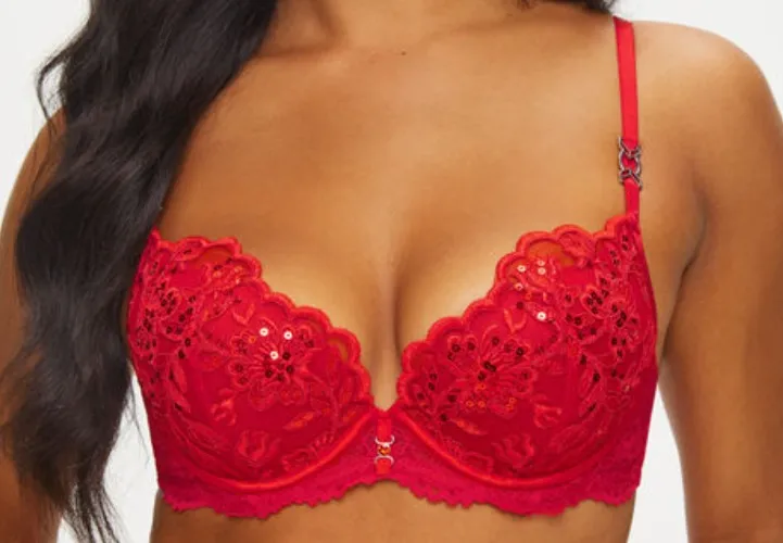 Icon Padded Plunge Bra | Ann Summers