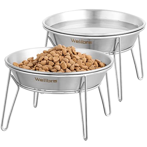 Wellbro Elevated Cat Bowls w/ Stands