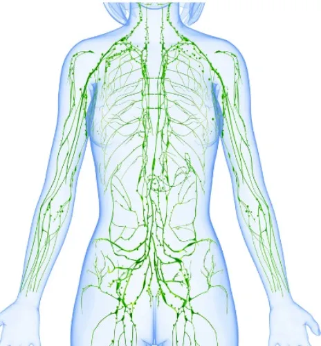Lymphatic Massage