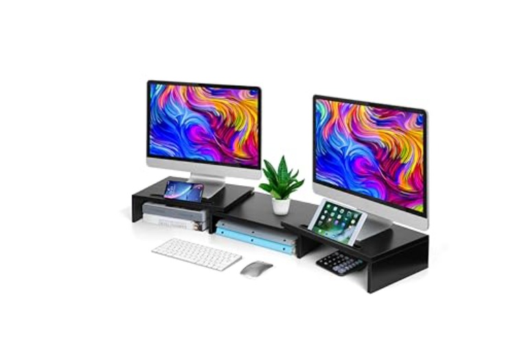 AMERIERGO Dual Monitor Stand (my desk has no room i need this)