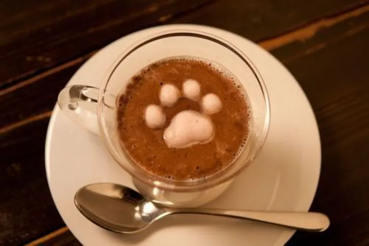Coffee ☕️ 