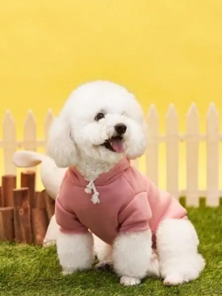 PETSIN Solid Color Pet Hoodie
