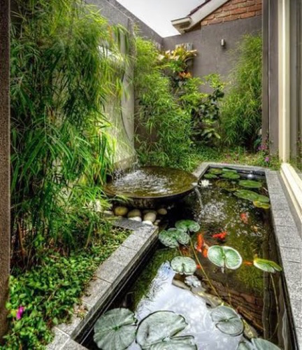Koi pond design 