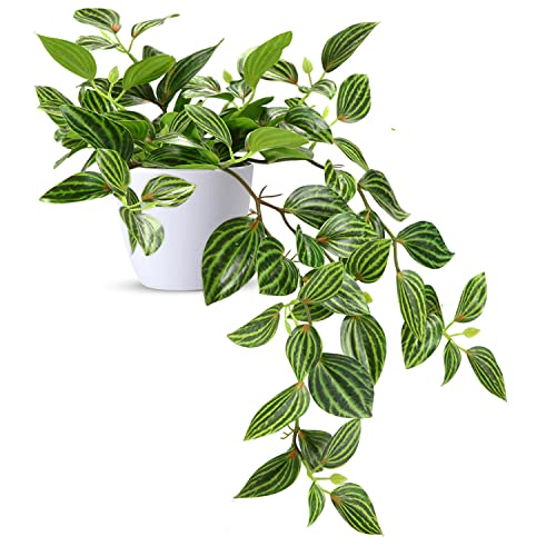 SOGUYI Plantas Artificiales Decorativas 38cm Decoración de Plantas Artificiales de Plástico Muy Realista, Adecuada para la Decoración Moderna de la Oficina de la Sala de Estar del Hogar(1 Piezas) - Blanco