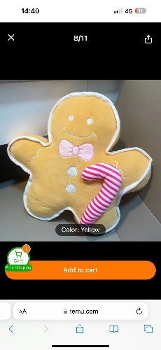 Temu Christmas pillow 