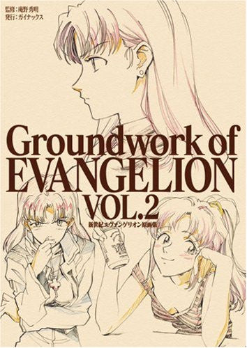 Groundwork Of Evangelion #2 Illustration Art Book - Pre Owned