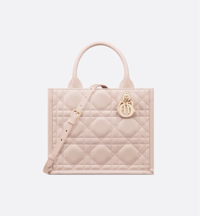 Dior Book Tote Medium Bag